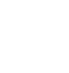 Bird illustration
