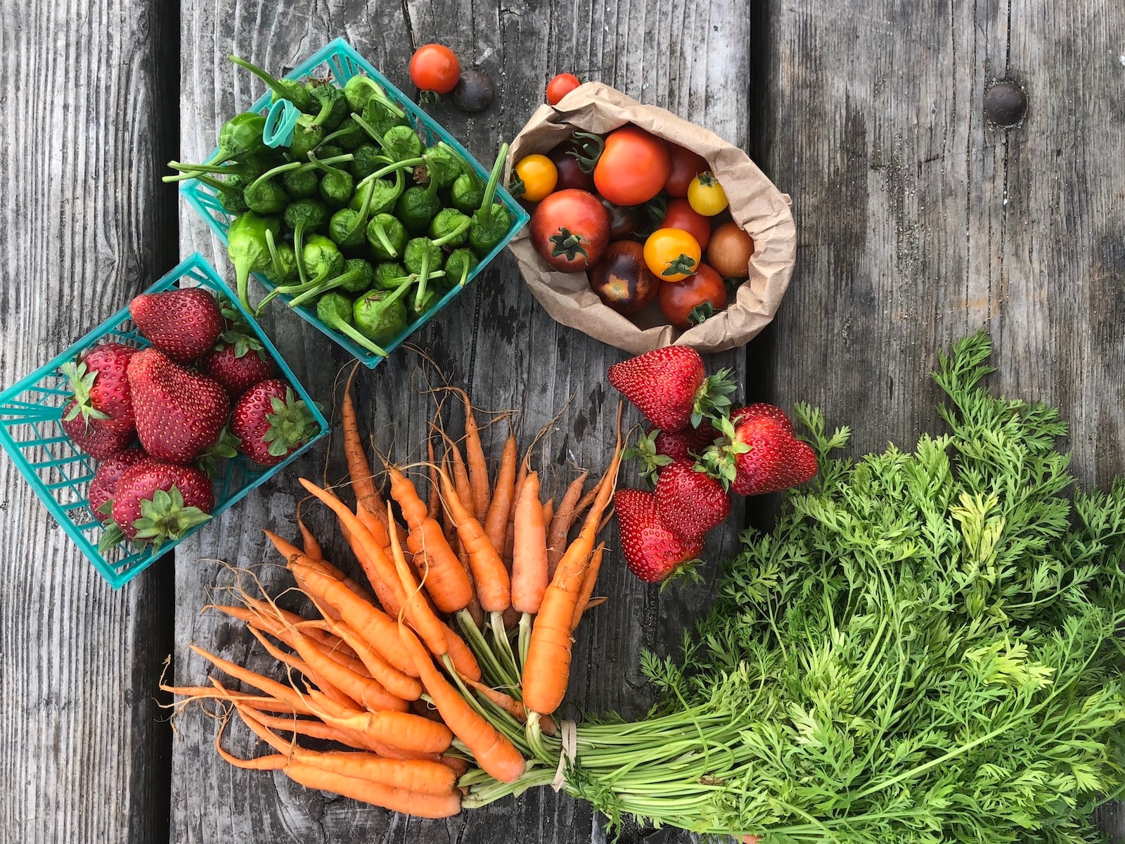 Local Farms & the Farmers Market